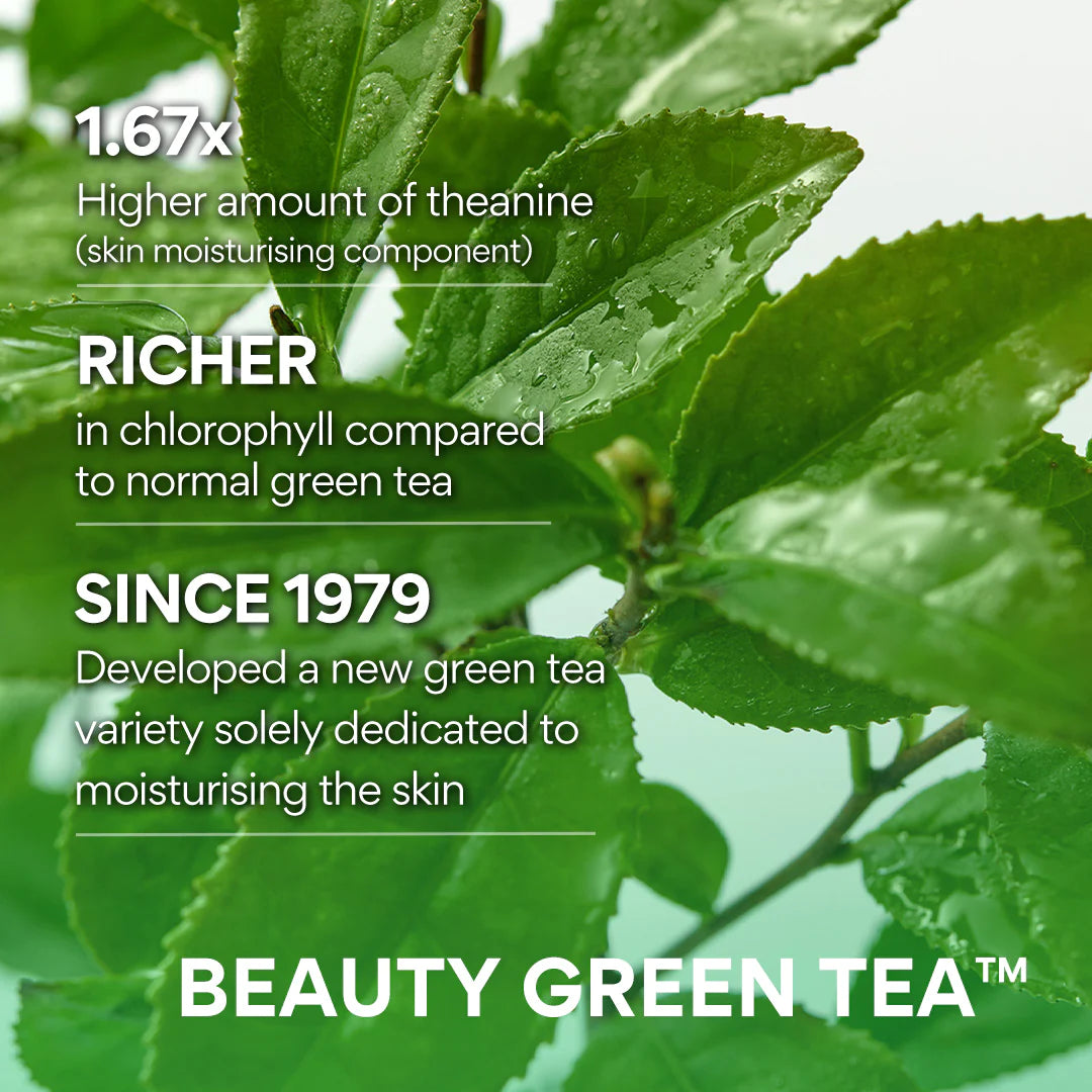 Green Tea Amino Hydrating Cleansing Foam NEW 150g