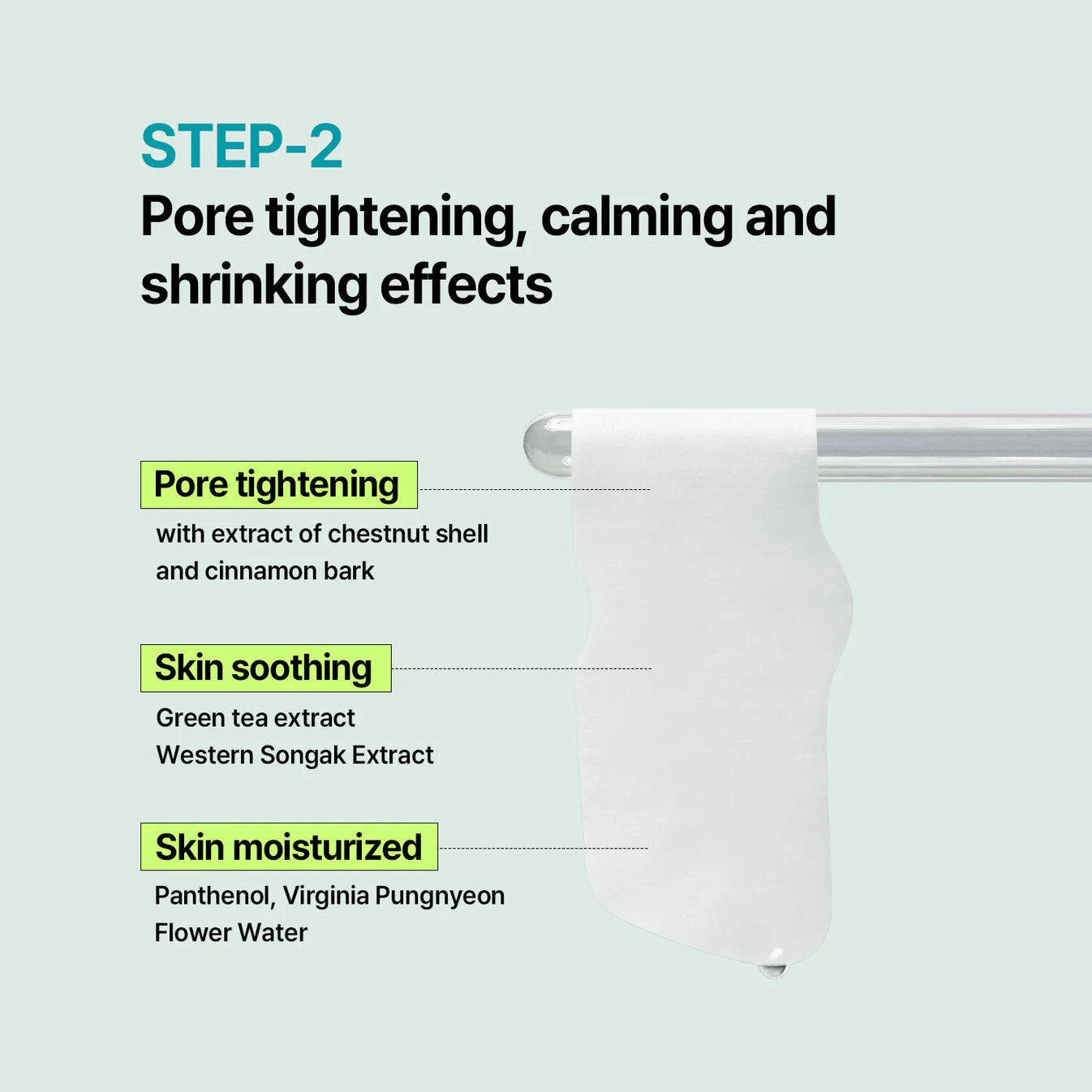 Natural Mild Clear Nose Pack + Deep Clean Master Set