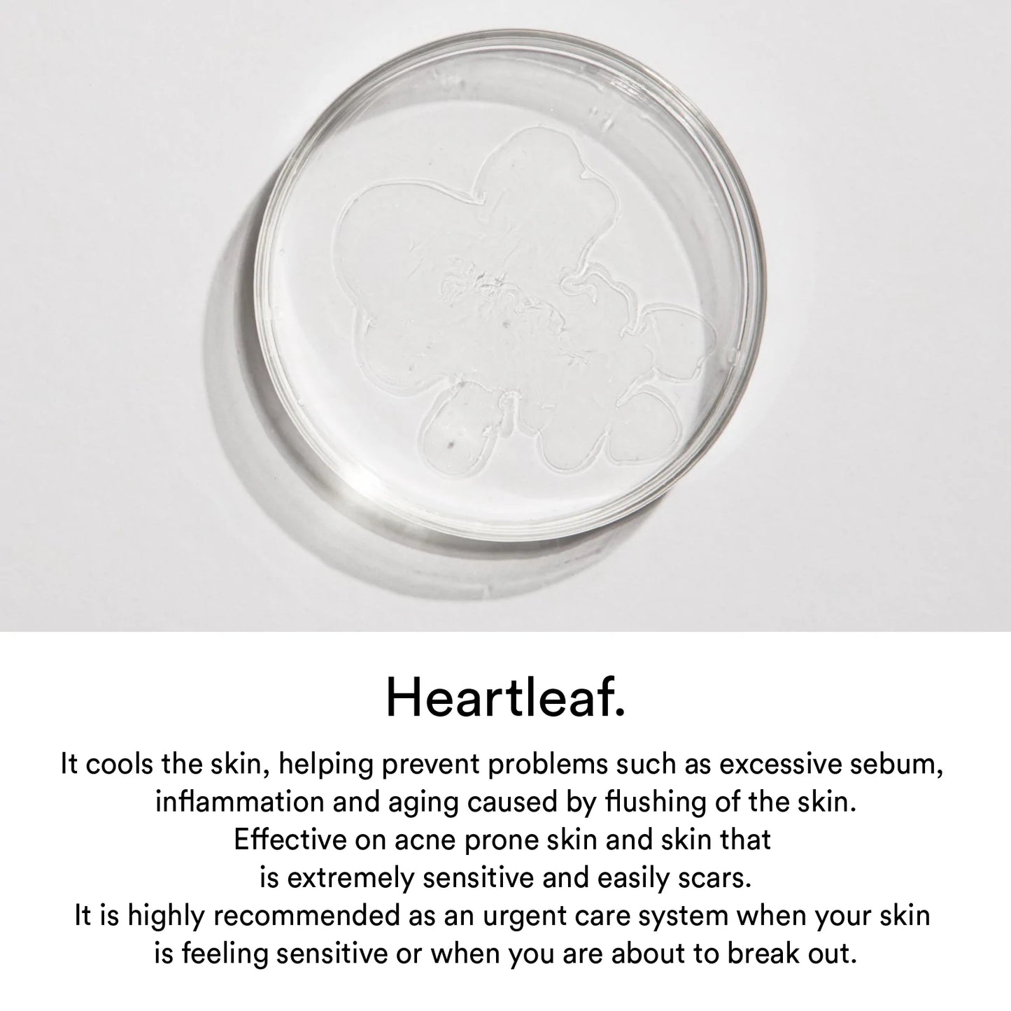 Gummy sheet mask Heartleaf sticker 1pc