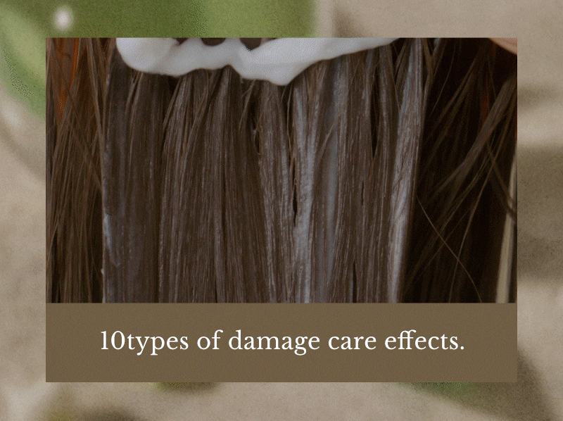 Salon 10 Clinic Care Treatment for Damaged Hair