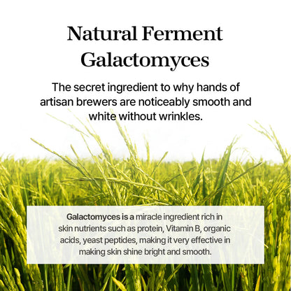 Galactomyces Ferment Essence