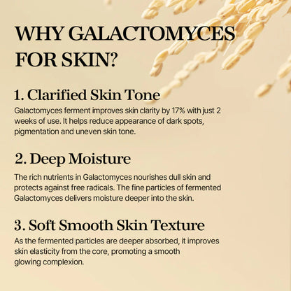Galactomyces Ferment Essence