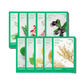 Energy Sheet Masks (10 types)