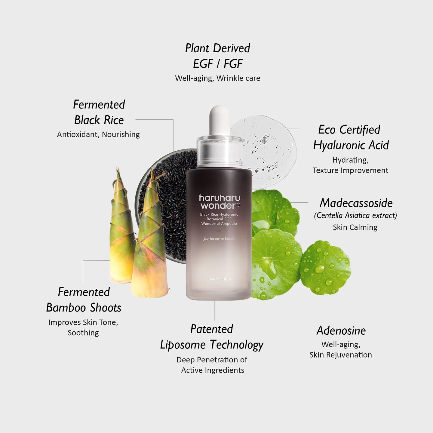 Black Rice Hyaluronic Botanical 2GF Wonderful Ampoule