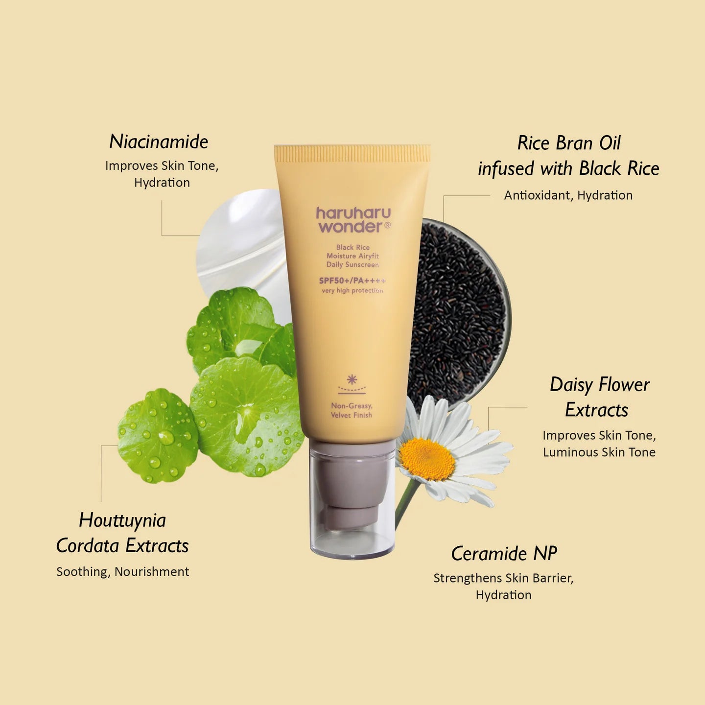 Black Rice Moisture Airyfit Daily Sunscreen