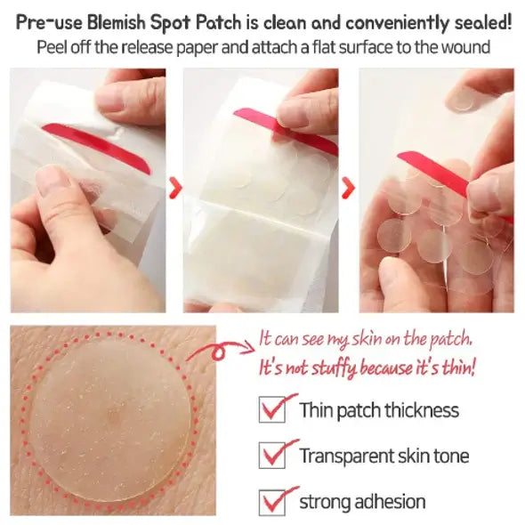 Witch Piggy Hell-Pore Blemish Spot Patch 44ea