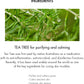 Tea Tree Purifine Green Up Sun