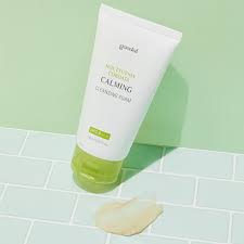 Houttuynnia Cordata Calming Cleansing Foam
