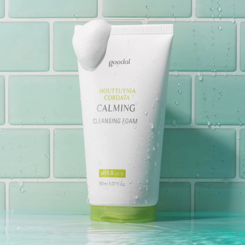 Houttuynnia Cordata Calming Cleansing Foam