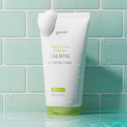 Houttuynnia Cordata Calming Cleansing Foam