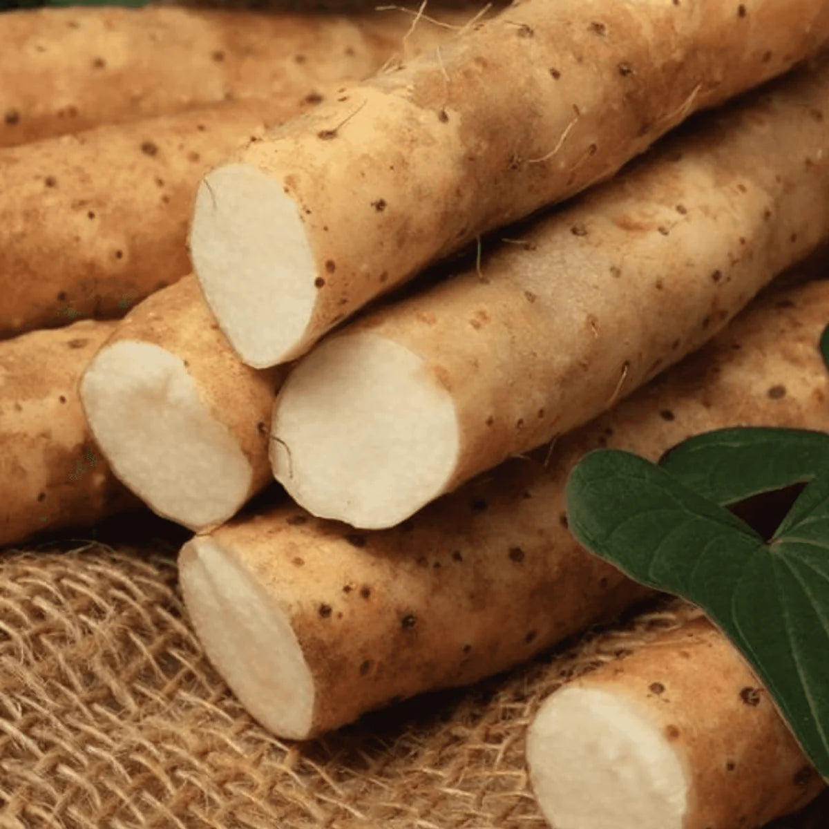 Yam Root Vegan Milk Cream