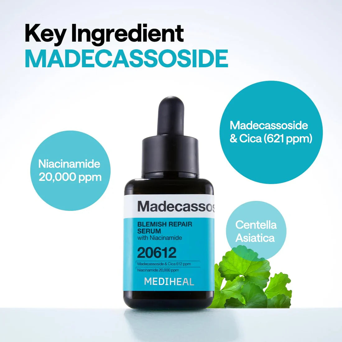 Madecassoside Blemish Repair Serum