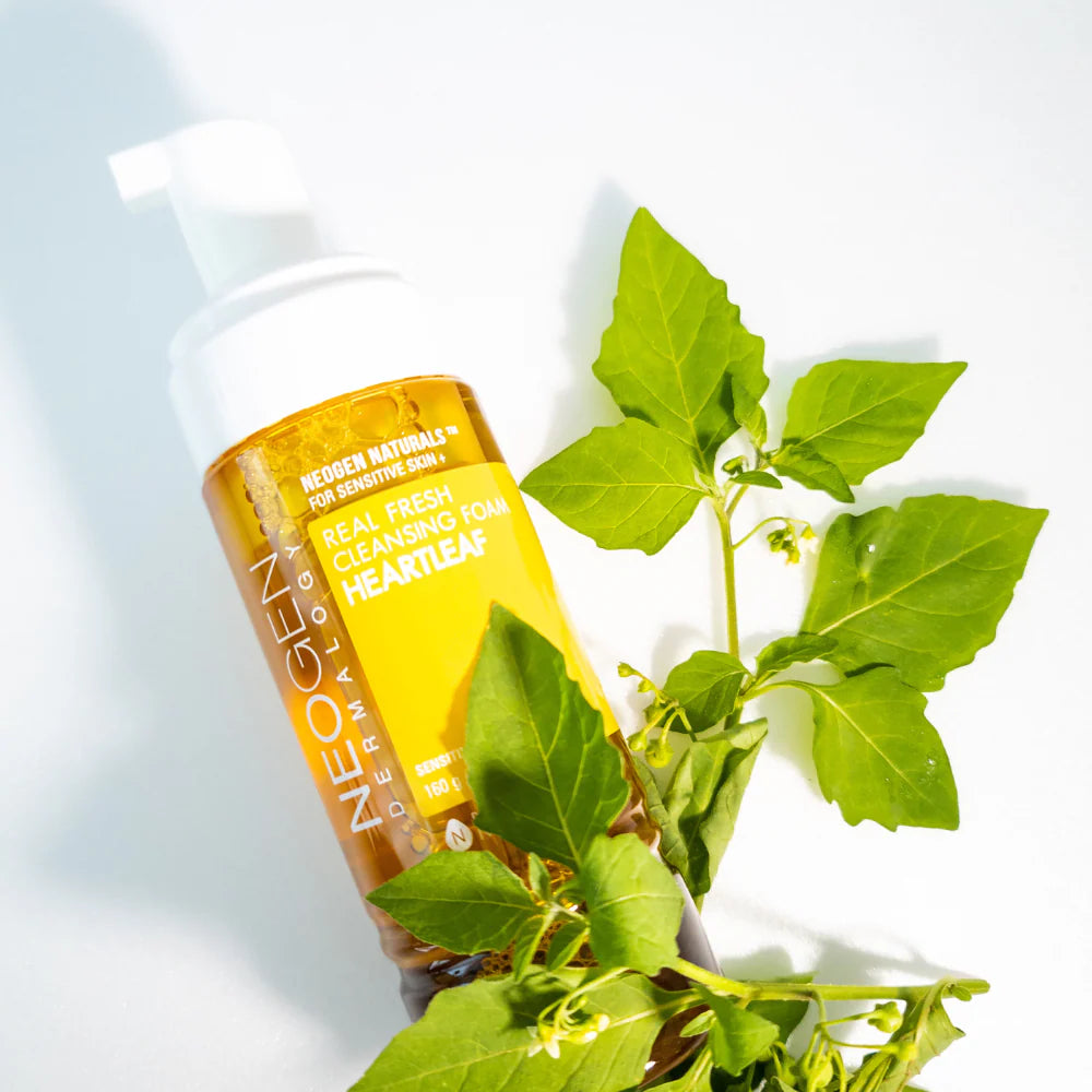 Neogen Real Fresh Heartleaf Cleansing foam with green leaves on a light background