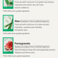Energy Sheet Masks (10 types)