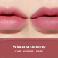 [ETUDE x Mafavarchive] Fixing Tint Velvet - Pinkarchive #Winter Strawberry