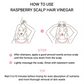 Raspberry Hair Vinegar