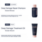 Travel Kit 4pc (Shampoo + Treatment + Oil Essence + Mist)