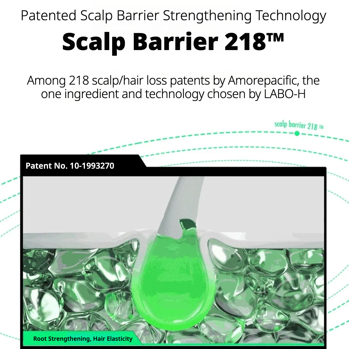 Scalp Care Hair Line Ampoule