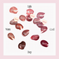 [Vanilla Dessert] Rose Obsession Stay-fit Lip Tint