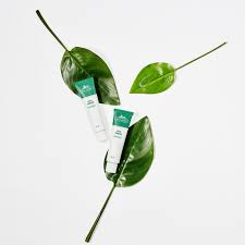 Cica Cream