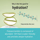 Hydra Enriched Ampoule