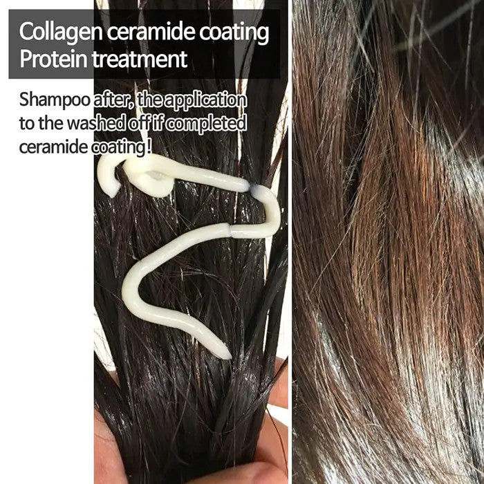 CER-100 Collagen Ceramide Coating Protein Treatment