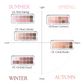 Pro Eye Palette Air (5 shades) + Pro Single Shadow Set