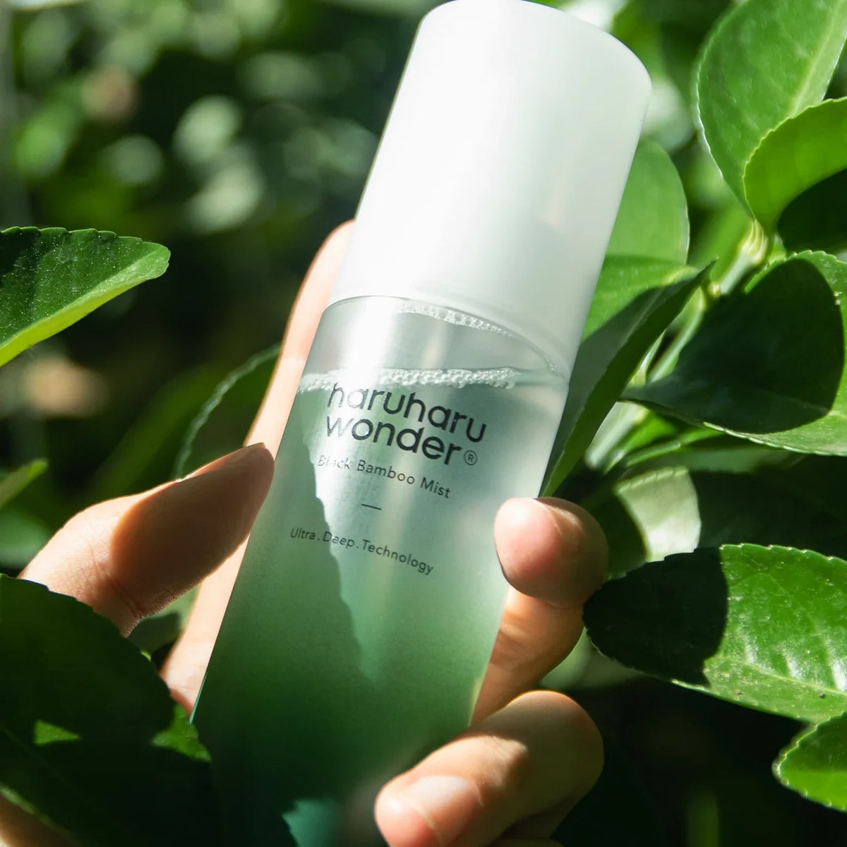 Black Bamboo Mist