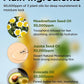 Vitamin Nourishing Lip Balm